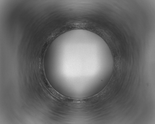 X0000084020752200702160826