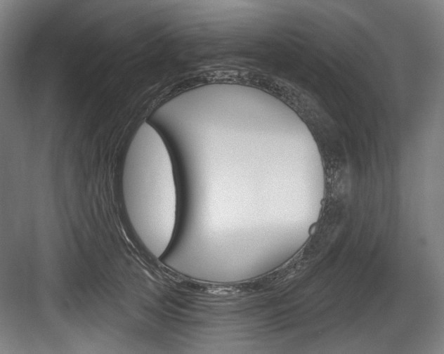X0000084020753200702160826