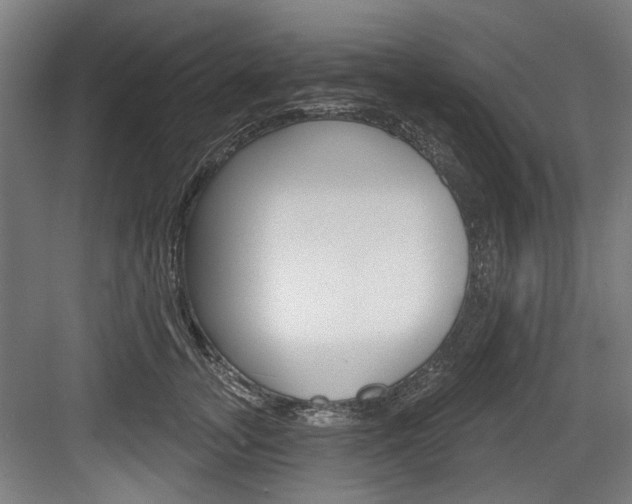 X0000084020755200702160826