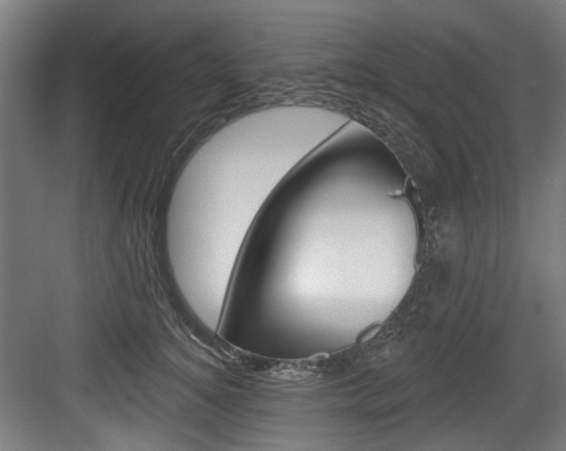 X0000084020756200702160826