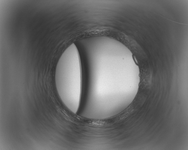 X0000084020758200702160826