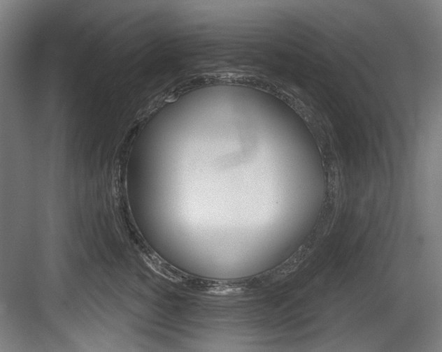 X0000084020760200702160826