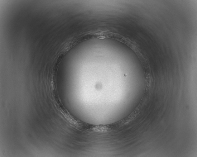 X0000084020762200702160826