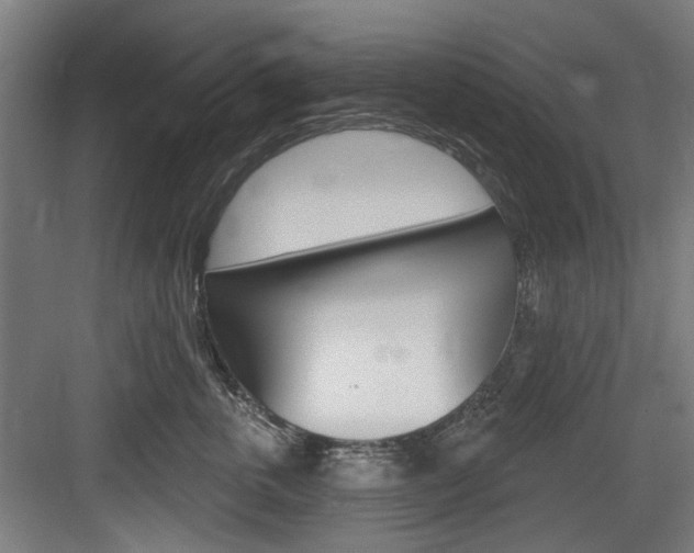 X0000084020763200702160826
