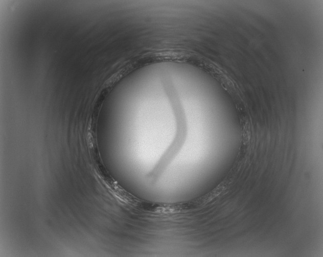 X0000084020764200702160826