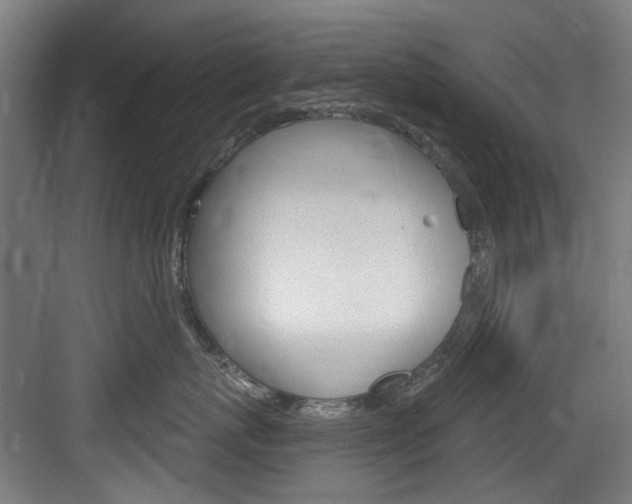 X0000084020767200702160826