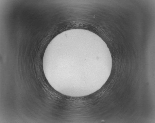 X0000084020769200702160825