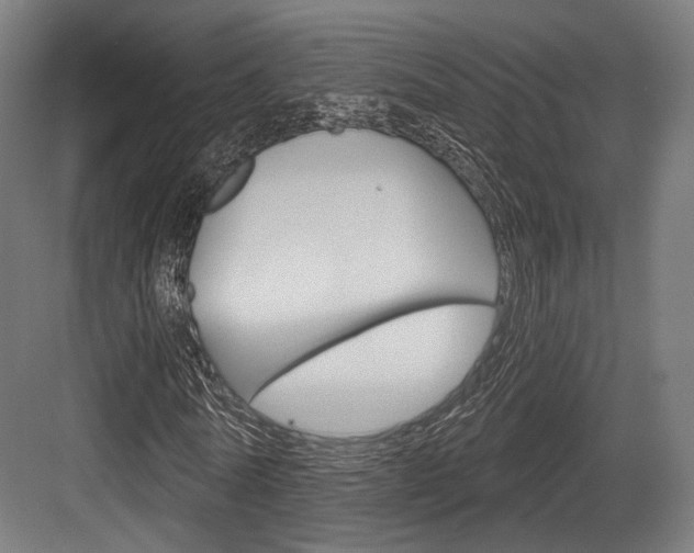X0000084020770200702160825