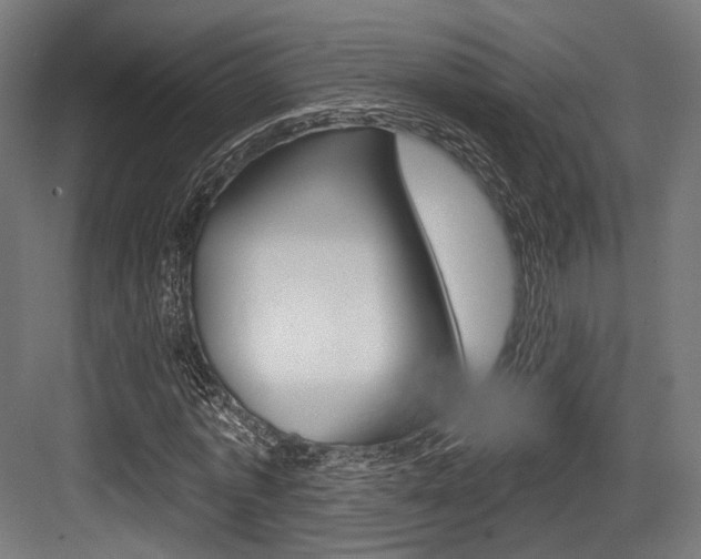X0000084020773200702160825