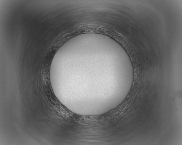 X0000084020774200702160825