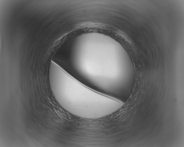 X0000084020775200702160825