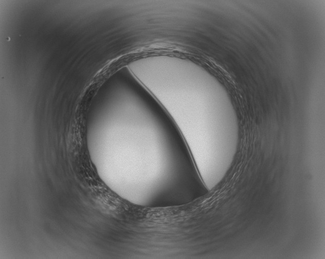 X0000084020776200702160825