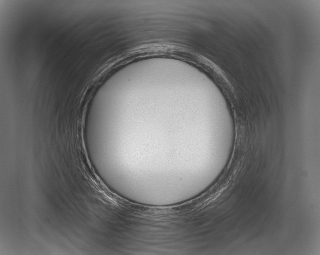 X0000084020778200702160825