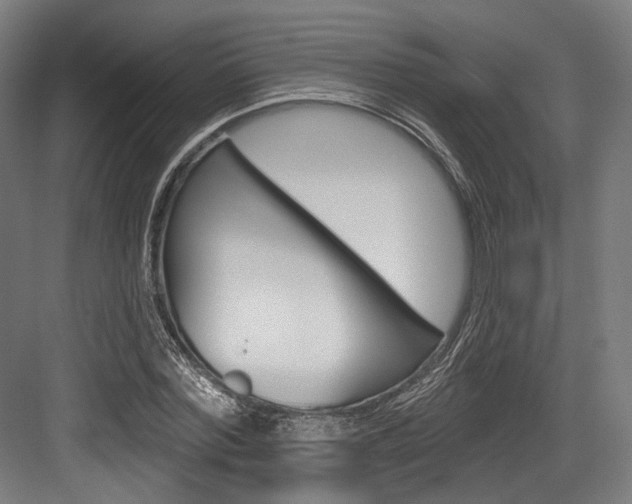 X0000084020780200702160825