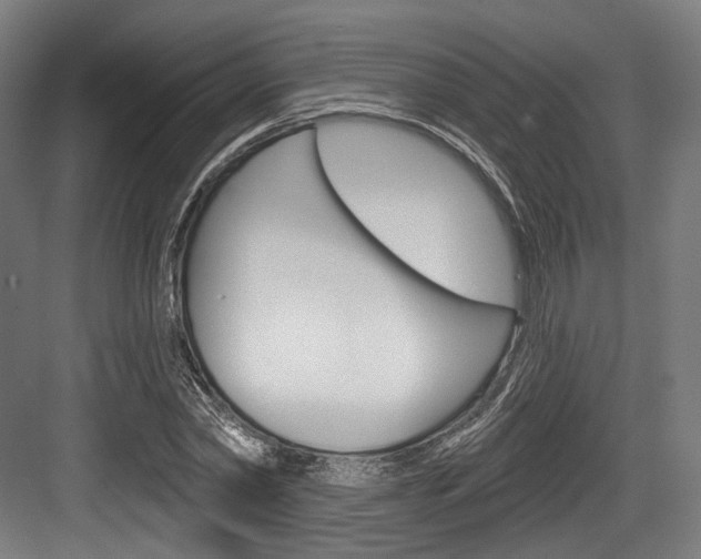 X0000084020782200702160825