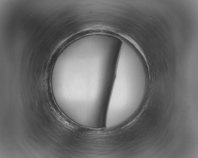 X0000084020783200702160825