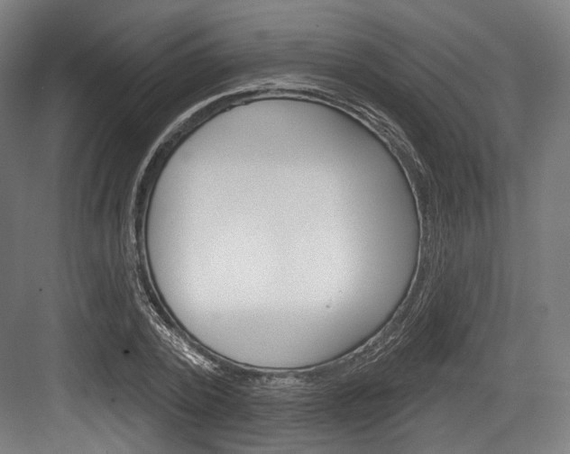 X0000084020784200702160825