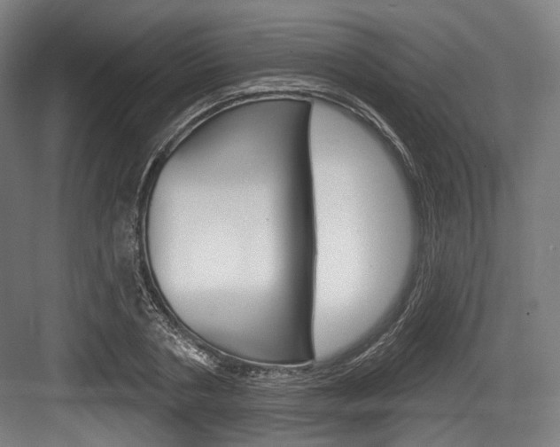 X0000084020786200702160825