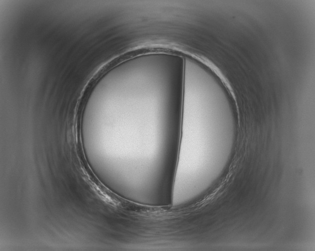 X0000084020791200702160825