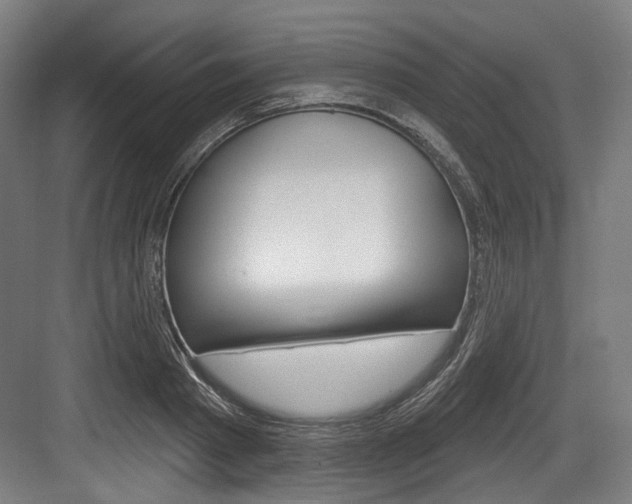 X0000084020793200702160825