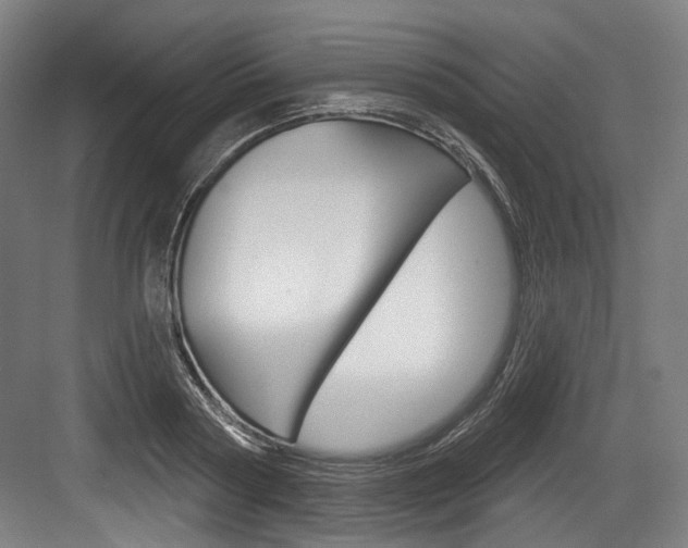 X0000084020794200702160825
