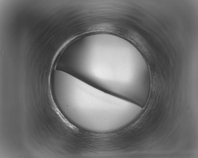 X0000084020796200702160825