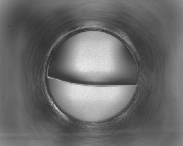 X0000084020799200702160825