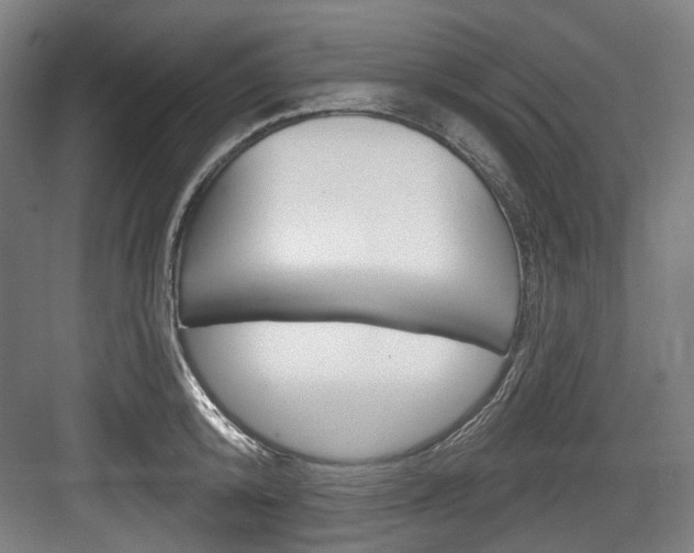 X0000084020800200702160825