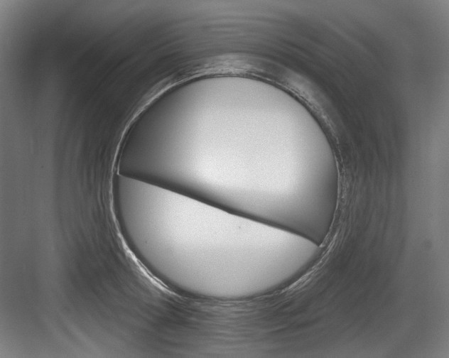 X0000084020802200702160825