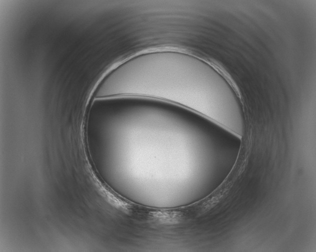 X0000084020805200702160825