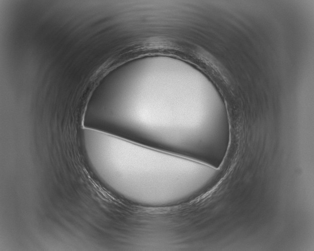 X0000084020825200702160824