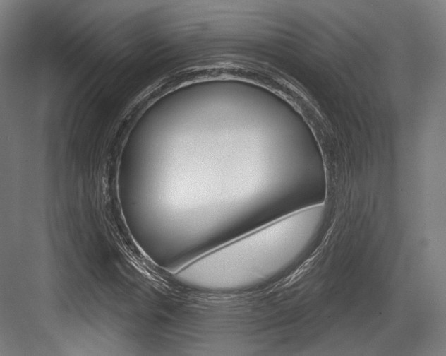 X0000084020826200702160824