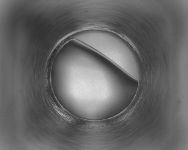 X0000084020830200702160824
