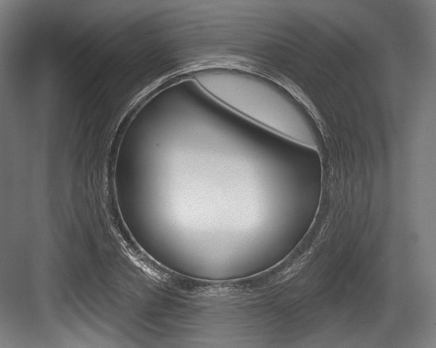 X0000084020834200702160824