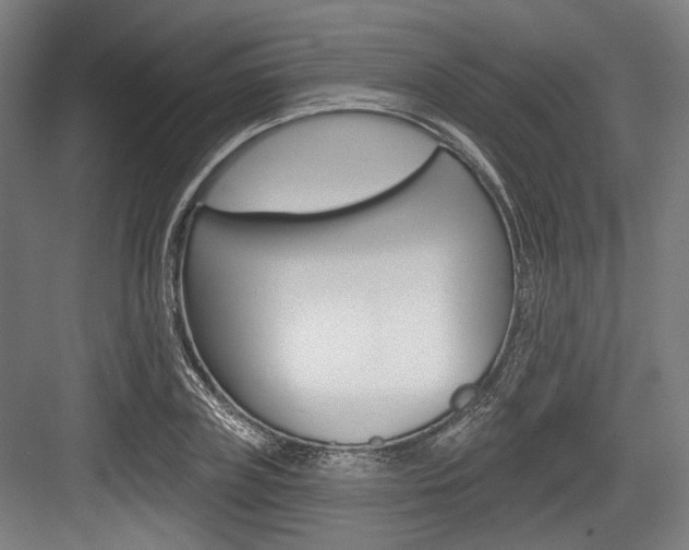 X0000084020835200702160824