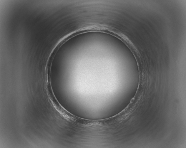 X0000084020838200702160824
