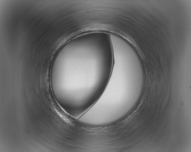 X0000084020842200702160824