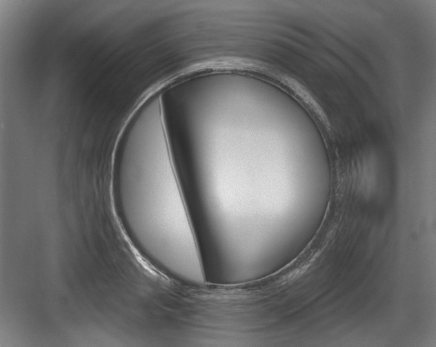 X0000084020845200702160824