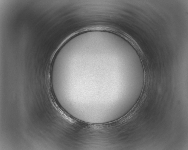 X0000084020852200702160824