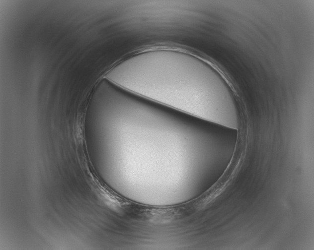 X0000084020857200702160824