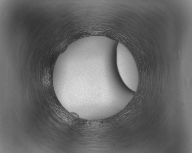 X0000084020866200702160824