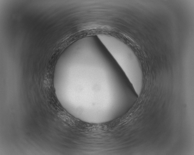 X0000084020869200702160824