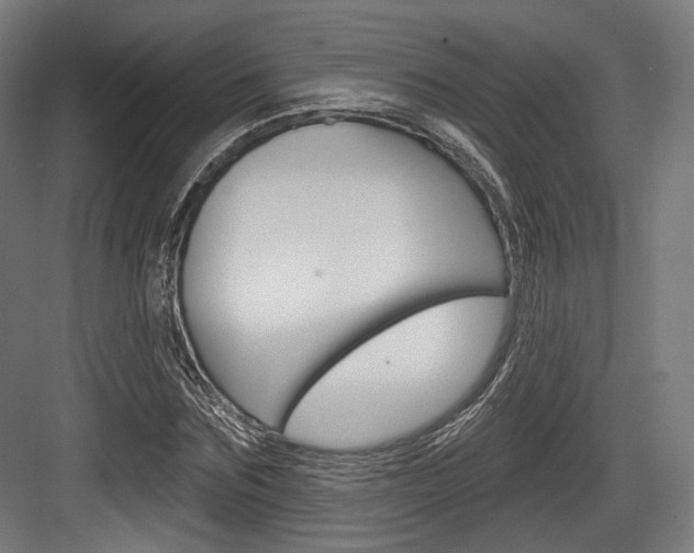 X0000084020875200702160823