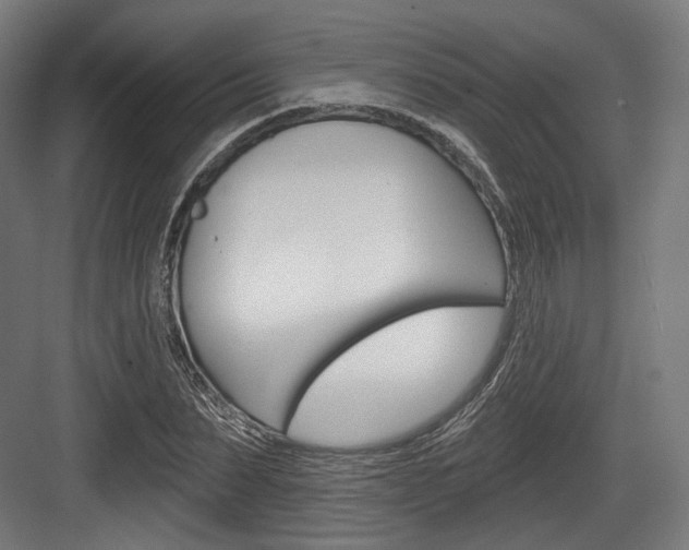 X0000084020879200702160823