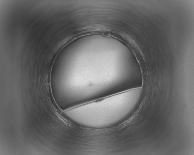 X0000084020881200702160823