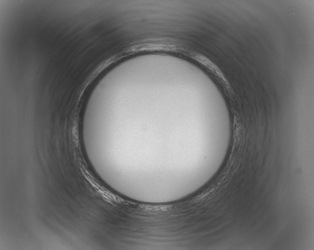 X0000084020882200702160823