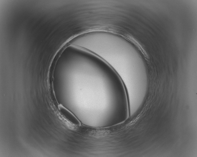 X0000084020884200702160823