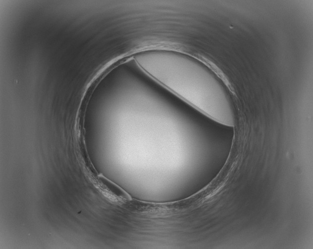 X0000084020885200702160823