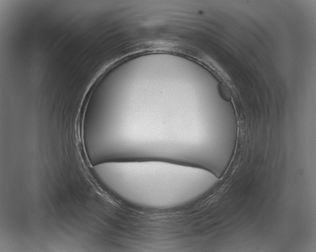 X0000084020891200702160823