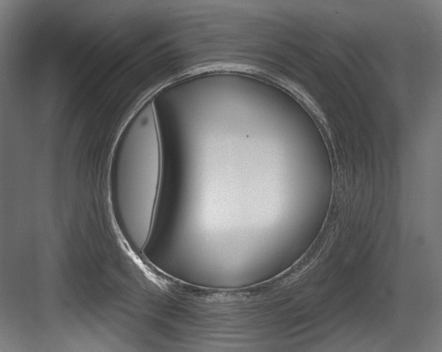 X0000084020898200702160823